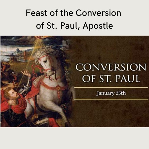 Stream Homily 1 25 2023 Feast of the Conversion of St. Paul