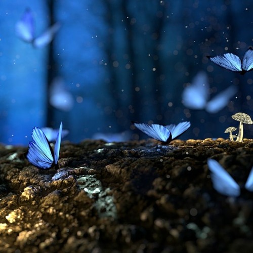 Keep on dreaming