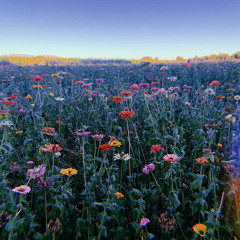 Better Off (acoustic cover)