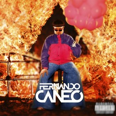 Fernando Caneo Private Edits