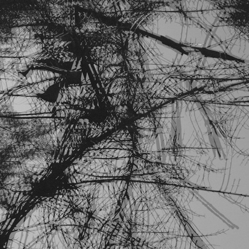 meii - Non-Local Hidden Variable (Tineidae Remix)