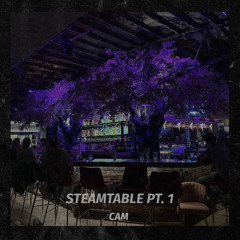 STEAMTABLE PT. 1