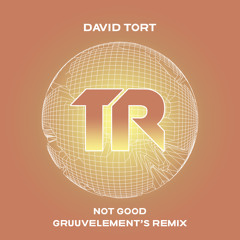 David Tort - Not Good (GruuvElement's Remix)