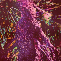 Caught In An Abundance Of Nothing