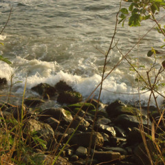 sangue por todo lado