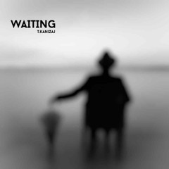 T.Kanizaj - 'Waiting' [Original Mix] +++ Free Download +++