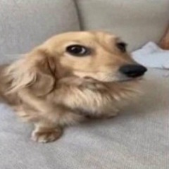PUBLIC-UPLOADS