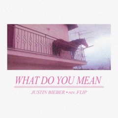 Justin Bieber - What Do You Mean? (rev. flip)