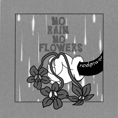 NODANWE(IT) - no rain, no flowers