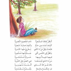 انظر لتلك الشجرة