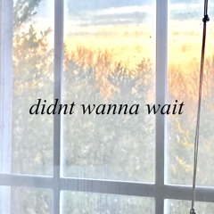 didnt wanna wait (prod. pyctur)