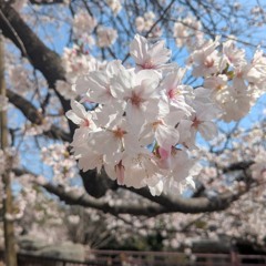 ヒロイン - back number