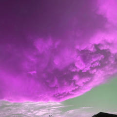 thepathuwalk - roll out (prod. southdrug13)