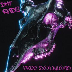 RADZ - DMT (FREE DOWNLOAD)
