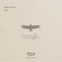 Bob In Space - Aro [OHM Collective]