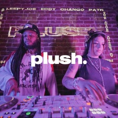 SLEEPYJOE B2B EDDY | PLUSH | SACRAMENTO