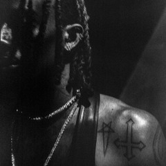Playboi Carti - ALL RED SNIPPET