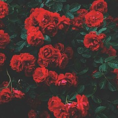 old beat, dcm con` deo biet panning, nhma cung hay phet