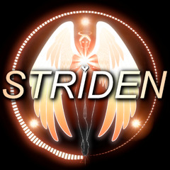 STRIDEN - Protection