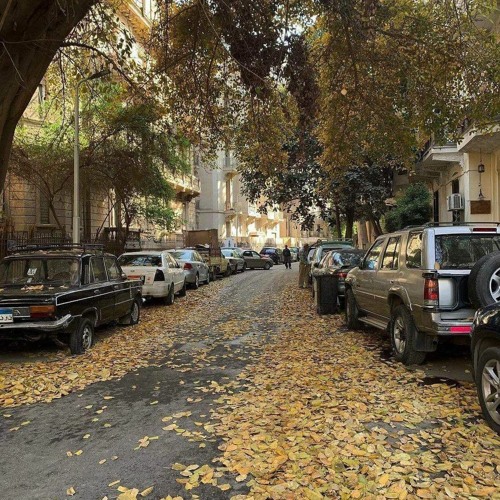 بعدو بيعنيلك متلي الخريف؟ لونا كرم