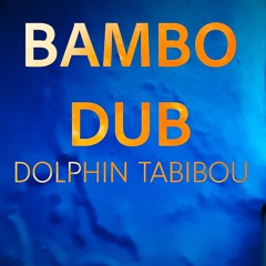 Dolphin Tabibou