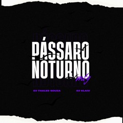 MTG - PASSARO NOTURNO - DJ THALES SOUZA E DJ KLAIV