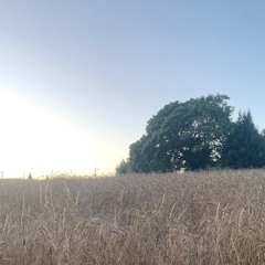 Grobas AmbientMix 062022