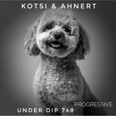Kotsi & Ahnert UNDER DIP Ep. 748 Progressive house (123bpm)