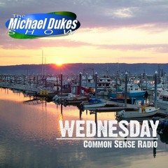 Wednesday // 8 - 9 - 23 // What If? Warbirds & Midway with Mike Shower