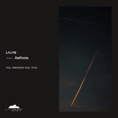PREMIERE: Laure - Aethora (BiGz Remix) - The Purr Music