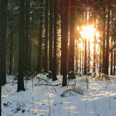 Guitar instrumental with drums