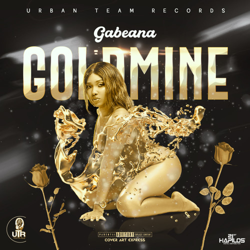 Stream Gold Mine (Radio Edit) by Gabeana | Listen online for free on  SoundCloud