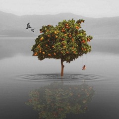 Peach Tree - (Music Video on Youtube!)