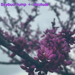Skybud Jump + Jazzlude