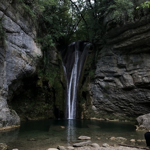 FANATIK MAGIC FOREST