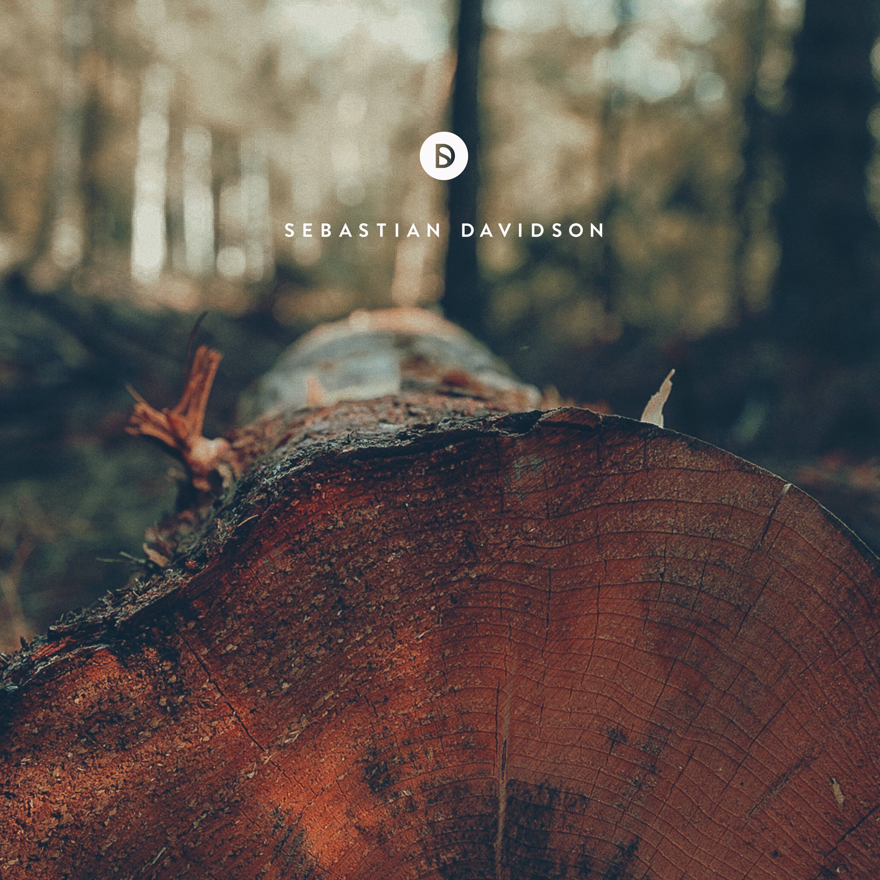 Voyage of Discovery by Sebastian Davidson