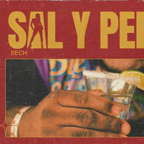 Sal Y Perrea - Sech - Dj Gustavo (Remix Cachengue)