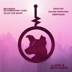 Brandon Scarbrough, Vaer - What We Want (Davide Ferrario Remix)[Clip]