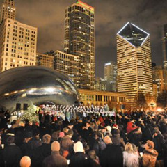 Best Things To Do In Chicago This Week Tours Reviews