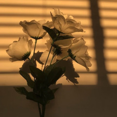 Same Page (prod. @pierceprada)