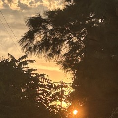 Summer Nostalgia