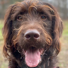 Fredo's 5th Birthday Party Song