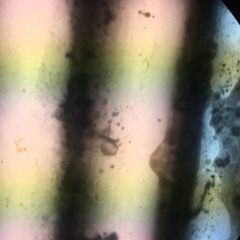 Jascha - Der Traum  (Unreleased Mix from 2020)