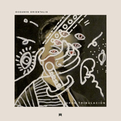 Premiere: Oceanvs Orientalis - Beachwalk [Kanto Records]