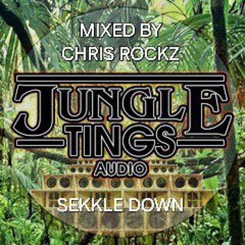 Sekkle Down , Jungle Mix , Mixed By Chris Rockz