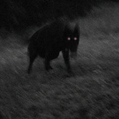 Untitled Playlist