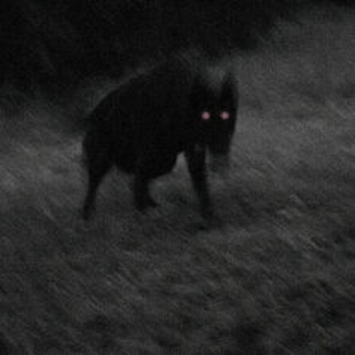 Untitled Playlist
