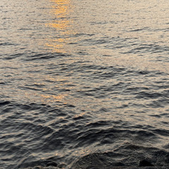 Simplicity - New Beginnings