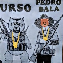 10 MIN DE PROIBIDÃO PRA TROPA DO URSO 🚩 ( COMPLEXO DA PENHA) 2022 🐝🐻📝🐒