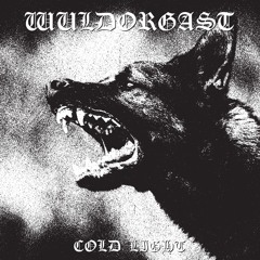 Wuldorgast - Dawn Of The Black Sun